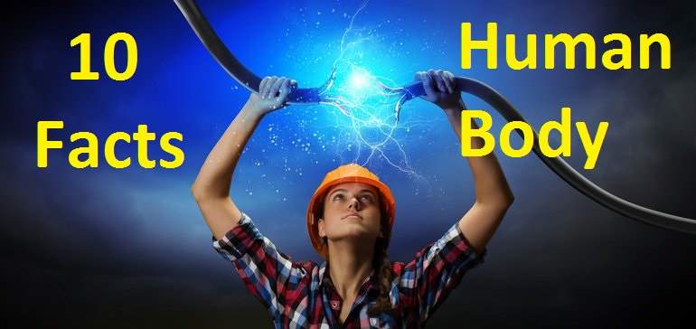 Facts about Electricity in Human Body: