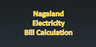 Nagaland Electricity Board